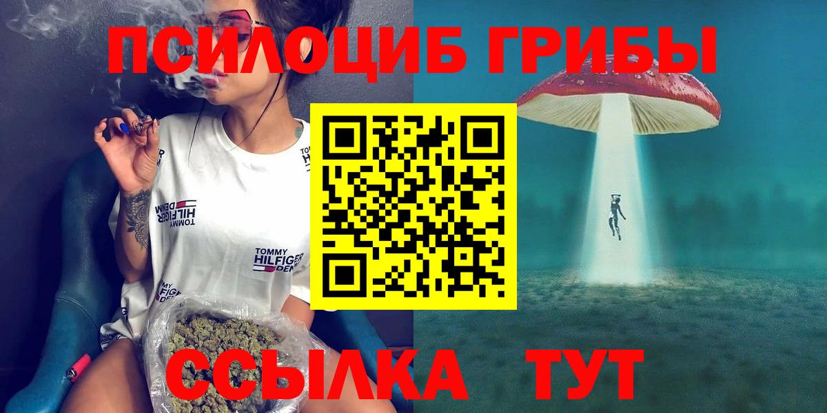 Псилоцибиновые грибы Cubensis  Вход с VPN  что такое наркотик  Псилоцибиновые грибы GOLDEN TEACHER  Владикавказ 
